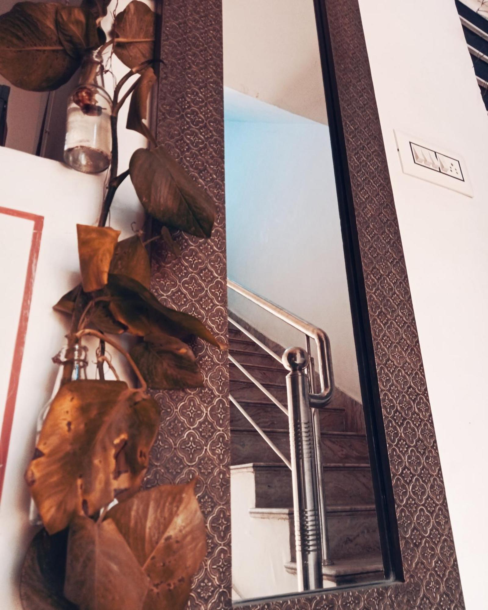 Cocoon Auberge جايبور المظهر الخارجي الصورة